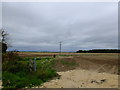 Looking North West from Ferry Road in IP12 3BA