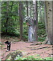On the sculpture trail, Tyrebagger Forest in AB21 0TU