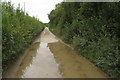 Big puddle on the path to Edgcott in MK18 2FE