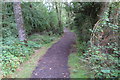 Bridleway through the woods in MK18 2FL
