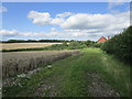 Footpath near Ladysmith Farm in DE13 8QS