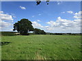 Grass field near Rowley Farm in WS15 3SL