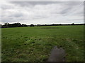 Grass field near Fawley Farm in WS15 3SJ