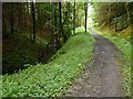 Track beside the burn in G66 7LG