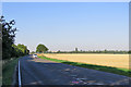 A wheatfield beside the A603 in CB23 1EU