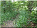 Footpath through the grounds of Kent College in TN2 4AP
