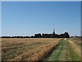 Footpath approaching the church of St Oswald in DN17 4QZ