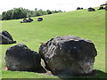 Large Boulders, Redburn Dene, North Shields in NE29 6EE
