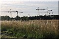 Cranes by Mile Road, Letton Green in IP25 7FH