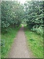 Glenburn Path in EH47 8NP