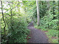 Woodland footpath at Duncryne in G83 8RZ