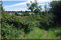 Footpath near Lavender Hall  in CV7 7BL