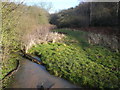 River next to Langwith Wood in S44 6SY