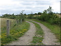 Track, Weetslade Country Park in NE13 6NS