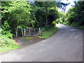 Llwybr Beicio 43 yng Nglanrhyd / Cycle Path 43 in Glanrhyd in SA9 1QB