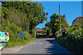 Strete : Country Road in TQ6 0RU