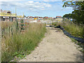 Path leading to Finberry housing estate in TN25 7GH