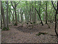 Old pit, Edolphs Copse in RH6 0EP