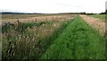 Grass Track between Fields near Longford Farm in EH55 8JR