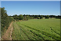 Field edge path near Shipton under Wychwood in OX7 6EJ