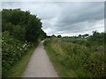 Canal towpath on southern edge of Bridgwater in TA6 5FB