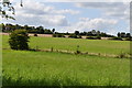 Pasture in the Darent Valley in DA4 9HY