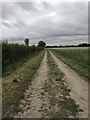 Dunton bridleway in SG7 5JL