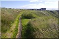 Coast path approaching Collieston in AB41 8SG