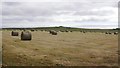 High Law and round bales in AB42 0SU