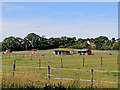 Paddocks east of Bunker's Hill Wood in Staffordshire in DY8 3JB
