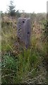 Intriguing Stone Post at Edge of Burn Row Ruins in EH55 8NS