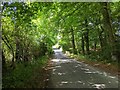 Lane heading north towards Canonteign Falls in EX6 7RH