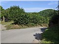 Steep downhill lane outside the entrance to Weir Park Farm in EX6 7NP
