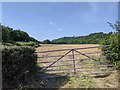 Field in the Teign valley in EX6 7GZ