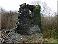 Llanfyrnach mine: old engine house in SA35 0BB