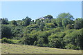 Wooded hillside near Upper Race in Pontymoile Community