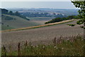 Downland view toward Bowerchalke in SP5 5LU