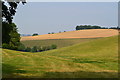 View into field beside Howgare Road in SP5 5HQ