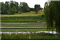 View across watercress beds, Broad Chalke in SP5 5HP
