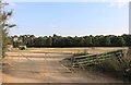 Field by Mildenhall Road, Freckenham in IP28 8HT