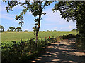 Bridleway to Norton, Stourbridge in DY7 6PX