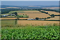 Farmland north of Middle Down in SP5 5LE
