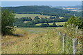 Track and gate with view toward Ansty Combe in SP5 5LE