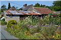 Roadside flowers and rusty roofs, Swallowcliffe in SP3 5PH