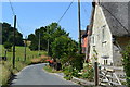 Lane and cottages, Swallowcliffe in SP3 5PH