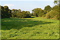 Meadow between River Nadder and railway line in SP3 6NR