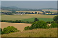 Downland view toward Arundell Farm in SP7 9LL