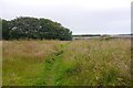 Coast path, Sandford Lodge in AB42 3AL