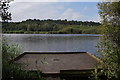 Fishing platform at Hatchmere in Hatchmere