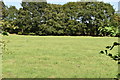 Pasture by Coldbridge Lane in ME17 2AT